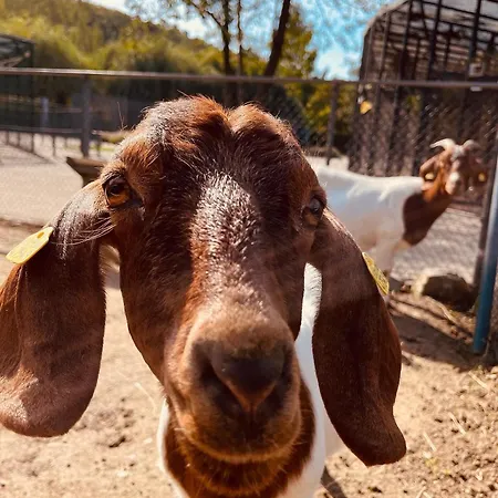 Am Park *
